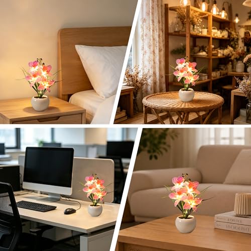 Image of Rechargeable Orchid Artificial Flower Lamp, Desk Bedroom Bar Coffee Shop Light Lamp Decor Night Light Gifts for Women Mom Grandma Girlfriend Friend Wife Birthday Christmas Valentines Mothers Day