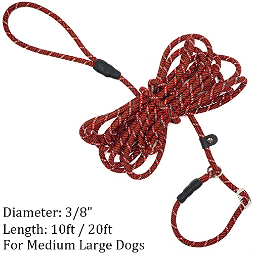Yucforen Dog Slip Collar 1/3 By 20 Inch + 10Ft Long Slip Lead Dog Leash Red #TOP6