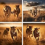 4枚セットダイヤモンドアート 大き