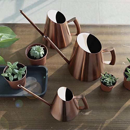 Arrosoir en Acier Inoxydable Bonsai Domestique Mini Plantes D'intérieur Brossées Arrosoir à Bec Long Arrosoir De Style Moderne Or Rose(L)