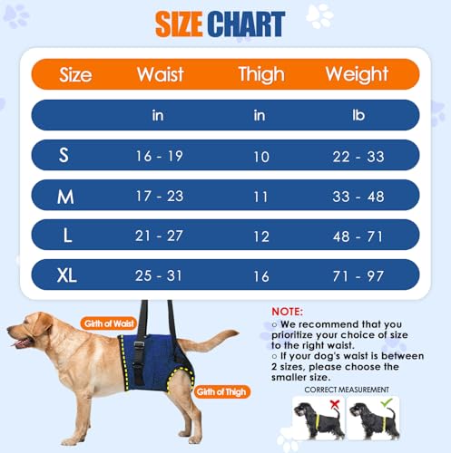 SlowTon Dog Lifting Harness - Support Slings for Back Legs with Handle, Soft Adjustable Recovery Mobility Aids for Senior, Injured, Disabled and After ACL Surgery Rehabilitation Medium Large Dogs - Image 5