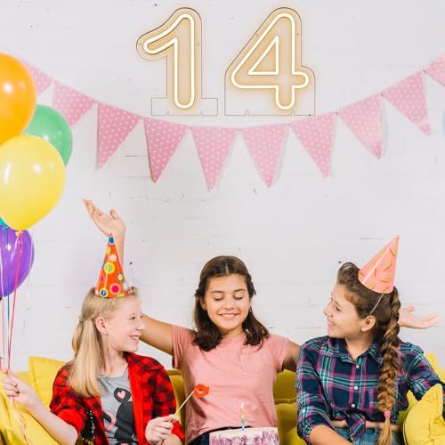 Image of Number 1 LED Neon Sign Backdrop Birthday Party Decoration, 11.3 inch Height Warm White Marquee Number Light Up Sign for Wedding Anniversary Window Wall Table, Indoor Battery Operated or USB
