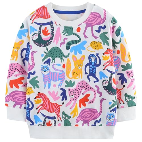 Image of AIWUHE Toddler Cotton Sweatshirt Boys Girls Pullover Long Sleeve Tops 2-6Y