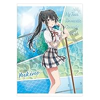 Amazon.co.jp: やはり俺の青春ラブコメはまちがっている。完 マルイ