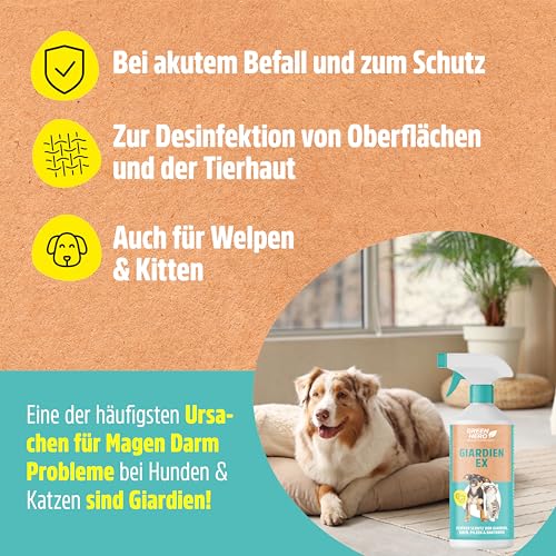 Green Hero Giardien EX Desinfektionsmittel Spray für Hund & Katze 500ml | Hochwirksam gegen Giardien, Bakterien, Viren & Pilzen | Dermatologisch getestet zur Desinfektion von Tieren und Umgebung