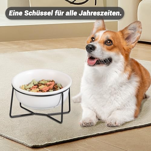 Hundenapf Keramik - Futternapf Hund Katzennapf - Futterstation Hund Katzen Erhöht mit Ständer - Fressnapf Wasser Futter Napf für Große Katzen und Mittelgroße Hunde - 850ml