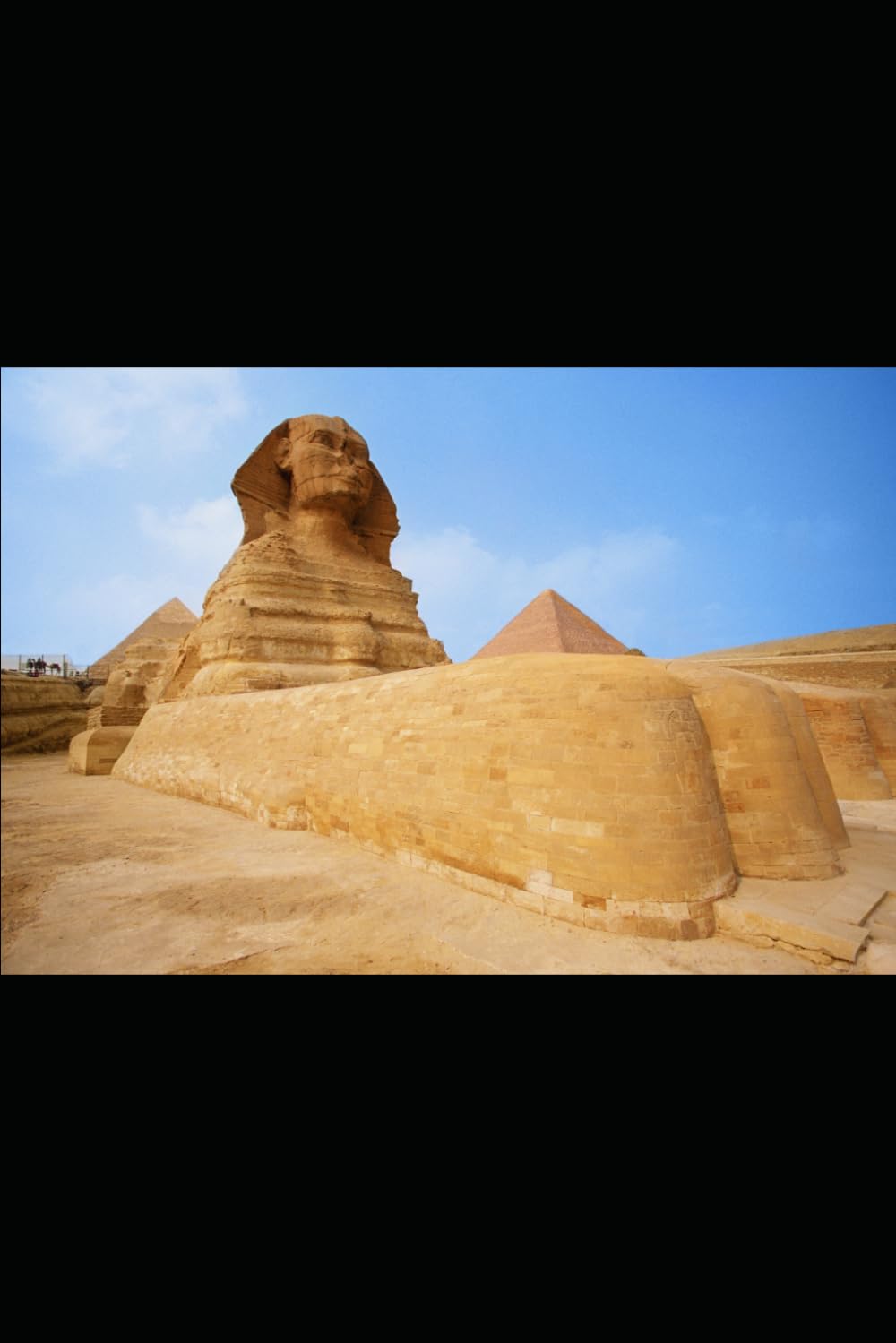 History of Humans: From the First Humans to the Age of Artificial Intelligence, Climate Change, Biotechnology, and Space Civilization
