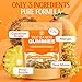 True Sea Moss Gummies – High Potency 4250mg Wildcrafted Irish Sea Moss Gel Extract + Mango Pineapple Flavor – With Coconut Sugar & Fruit Purée – 30 Gummies (30 Servings)
