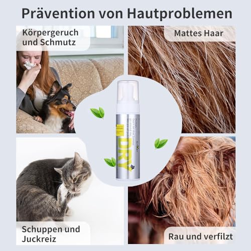Trockenshampoo Hund & Katze – Wasserloses Hundeshampoo Schaum für empfindliche & juckende Haut – Sanfte Reinigung ohne Ausspülen – Anti-Juckreiz Trockenpflege, 200 ml