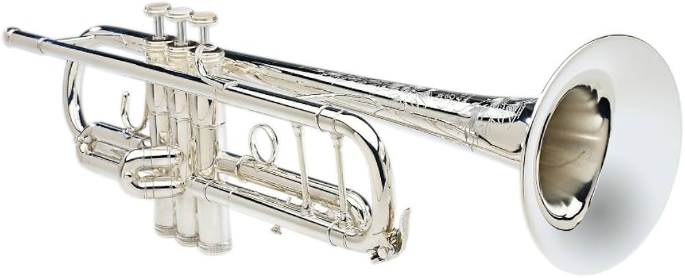 S.E. SHIRES Model AF Bb Trumpet AF-SP Silver : Amazon.ca: Musical 