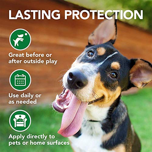 Vet's Best Flea and Tick Wipes for Dogs and Cats | Targeted Flea & Tick Application | Multi-Purpose Flea Treatment for… - Image 6