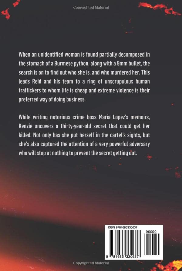 Burnout: A Kenzie Gilmore Thriller - Image 2