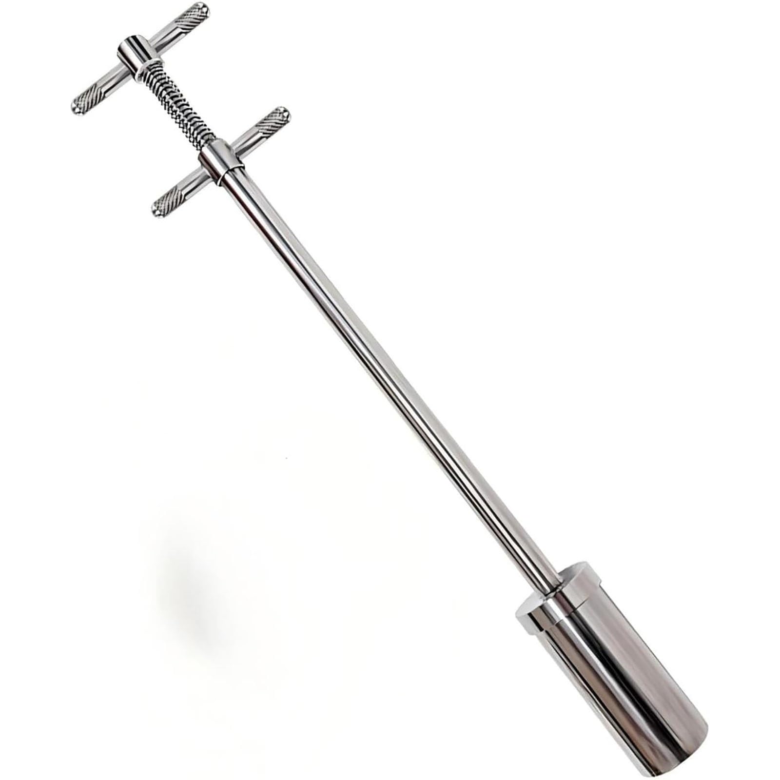 Muestreador de Agua líquida de Acero Inoxidable 304, Vaso de 200 ml y sonda de muestreo para bidones de líquidos viscosos para Uso en Laboratorio e Industrial, Longitud de 0,5 m/1,6 pies.