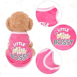 4 Pack Dog Shirts Summer Printed Puppy Clothes Cute Sleeveless Pet T Shirts Dog Clothes for Small Medium Dogs Cats Girl(S) 4 Pack Dog Shirts Summer Printed Puppy Clothes Cute Sleeveless Pet T Shirts Dog Clothes for Small Medium Dogs Cats GirlS