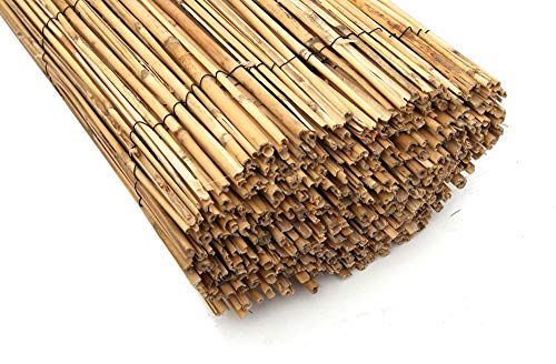 Gardeneas Cañizo Natural Bambú Fino 2x5 Metros