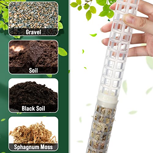 Support plante Monstera avec tuteurs emboîtables en plastique et étiquettes - 6