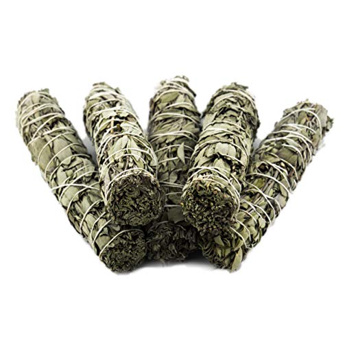 Nosy Nomad Salvia Bianca (Salvia apiana) | Medio Set di Bastoncini di Incenso di 5 - Regali e Forniture Spirituali, Nuovo Regalo per la Casa, Regali dei Nativi Americani, Ideale per la Meditazione