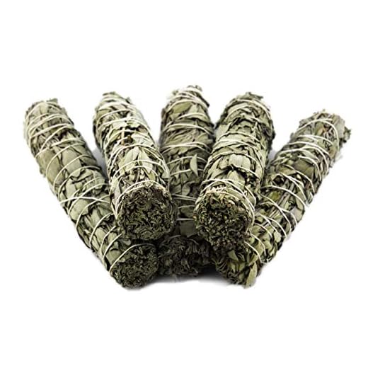 5 Palitos de salvia blanca, fragante hierba de limpieza, purificadora, aromaterapia con energía positiva, para el alivio del estrés, para yoga, meditación | Paquete de 5 palos mediano 12-15 cm