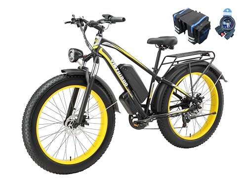 YinZhiBoo XDC600 Electric Bike 2000W, 48V, 26" Fat Tire