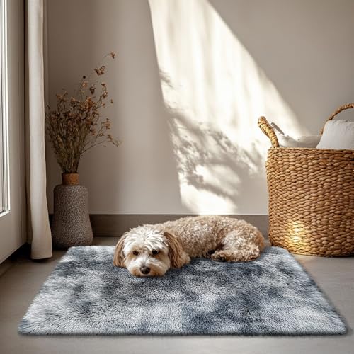 2x3 Fluffy Area Rugs for Bedroom Living Room,Small Soft Shag Fuzzy Rug Non-Shedding Indoor Plush Carpet for Kids Bedroom Nursery Dorm Home Decor,Tie-Dyed Black