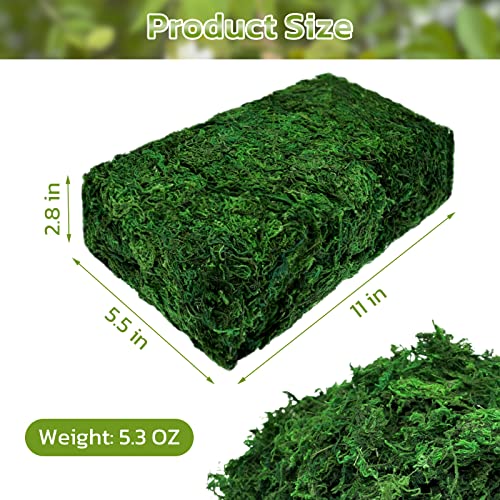 Riare 5.3Oz Artificial Green Moss For Crafts- Premium Faux Moss For Potted Plants Indoor, Decorative Moss For Micro-Landscape Terrariums Decor Fairy Garden Lawn Crafts #TOP1