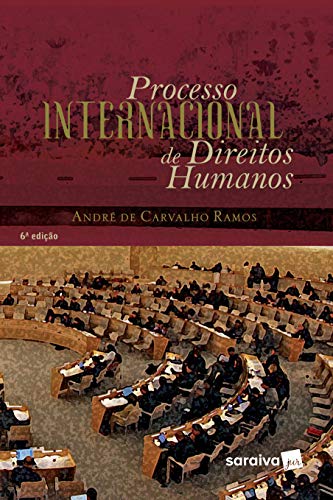 Processo internacional de direitos humanos