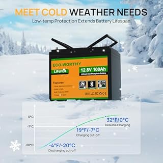 ECO-WORTHY 12V 100AH LiFePO4 Lithium Battery with Bluetooth, Low Temperature Protection, Max.1280Wh Energy, Group 24, Built-in 100A BMS, Perfect for Trolling Motor, RV, Boat, Solar Off-Grid
