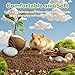 Sukh Natural Coconut Husk Bedding for Hamsters - Organic Coco Coir Substrate, Odor Control & Burrowing Friendly Small Pet Litter for Syrian Dwarf Hamsters, Gerbils, Degus