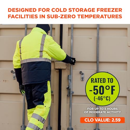 Ergodyne Class 2 Insulated Hi-vis Freezer Jacket2