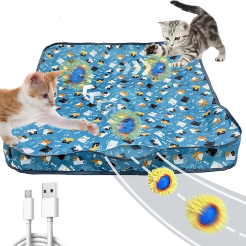Jouets interactifs pour chats d'intérieur pour lutter contre l'ennui