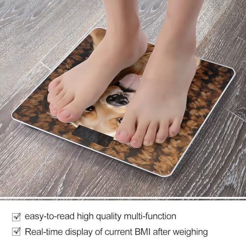 Báscula Digital para Baño 400lb de Vidrio Templado miniatura 5