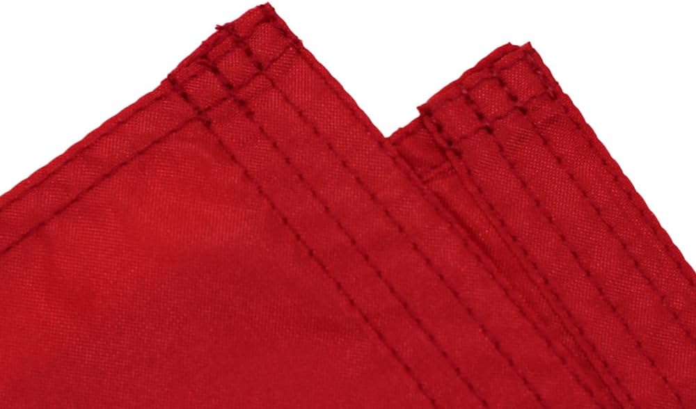 FLAGLINK Mexico Flag 3x5Fts - Heavy Duty 300D Nylon Mexican Flag - Embroidered Eagle - Image 7