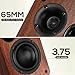Saiyin Bluetooth Bookshelf Speakers, 30W X 2 Powered TV Speakers with 3.75 Inch Woofer, Turntable Speakers with Optical/AUX/RCA Input for PC and TV