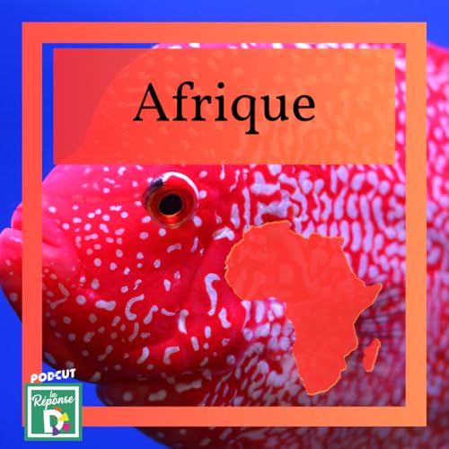 Afrique - Connaissez vous les cichlid&eacute;s du lac Malawi ?