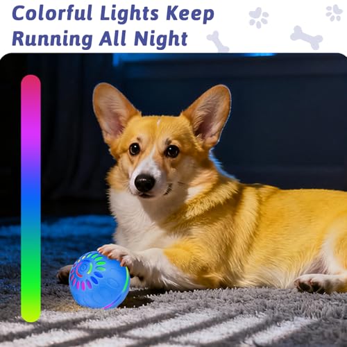 Pipihome Interaktives Hundespielzeug Ball, Hundeball Elektrisch Automatisch Rollender mit LED-Lichtern Spielball, Hundespielzeug Intelligenz für Kleine/mittlere/große Hunde, USB Wiederaufladbar