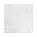 Jessup Safety Track 3310 Commercial Grade Non-Slip High Traction Safety Tape (60-Grit, Snow White, 18-Inch x 60-Foot Roll)