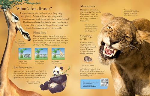 First Encyclopedia of Animals (First Encyclopedias) - Image 3