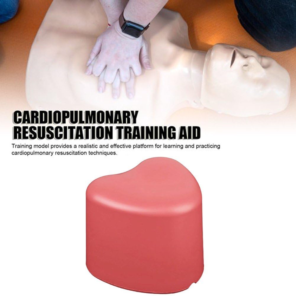 Modelo De Entrenamiento De Rcp, Entrenador De Habilidades De Rcp En Forma De Corazón, Kit De Ayuda De Entrenamiento De Rcp, Herramienta De Entrenamiento De Primeros Auxilios