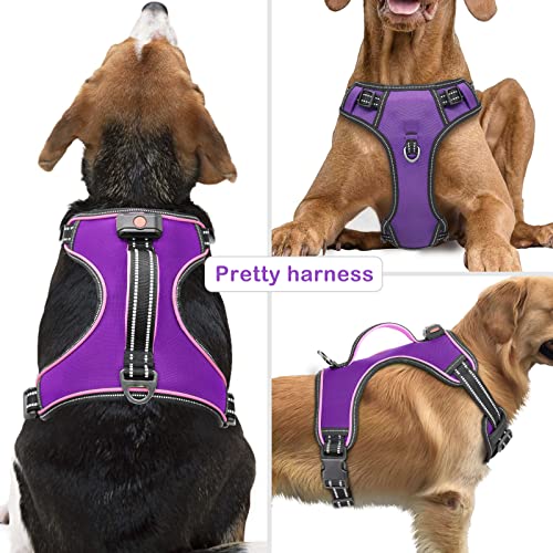 Light Up Dog Harness, No Pull LED Dog Harness with Handle, Rechargeable Lighted Safety Vest for Small Medium Large Dogs, Adjustable Soft Dog Lights for Night Walking