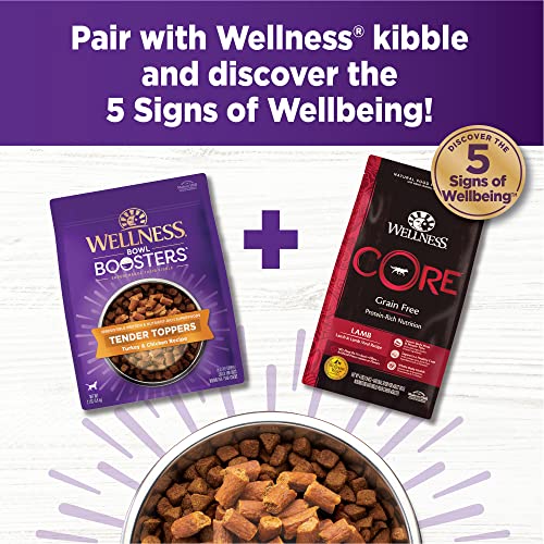 Image of Wellness Tender Toppers (Previously Bowl Boosters), Grain-Free Natural Dog Food Toppers or Mixers, Made with Real Meat (Turkey & Chicken, 2-Pound Bag) (Pack of 2)