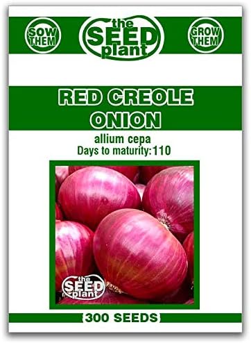Rojo Creole Cebolla semillas300Semillas