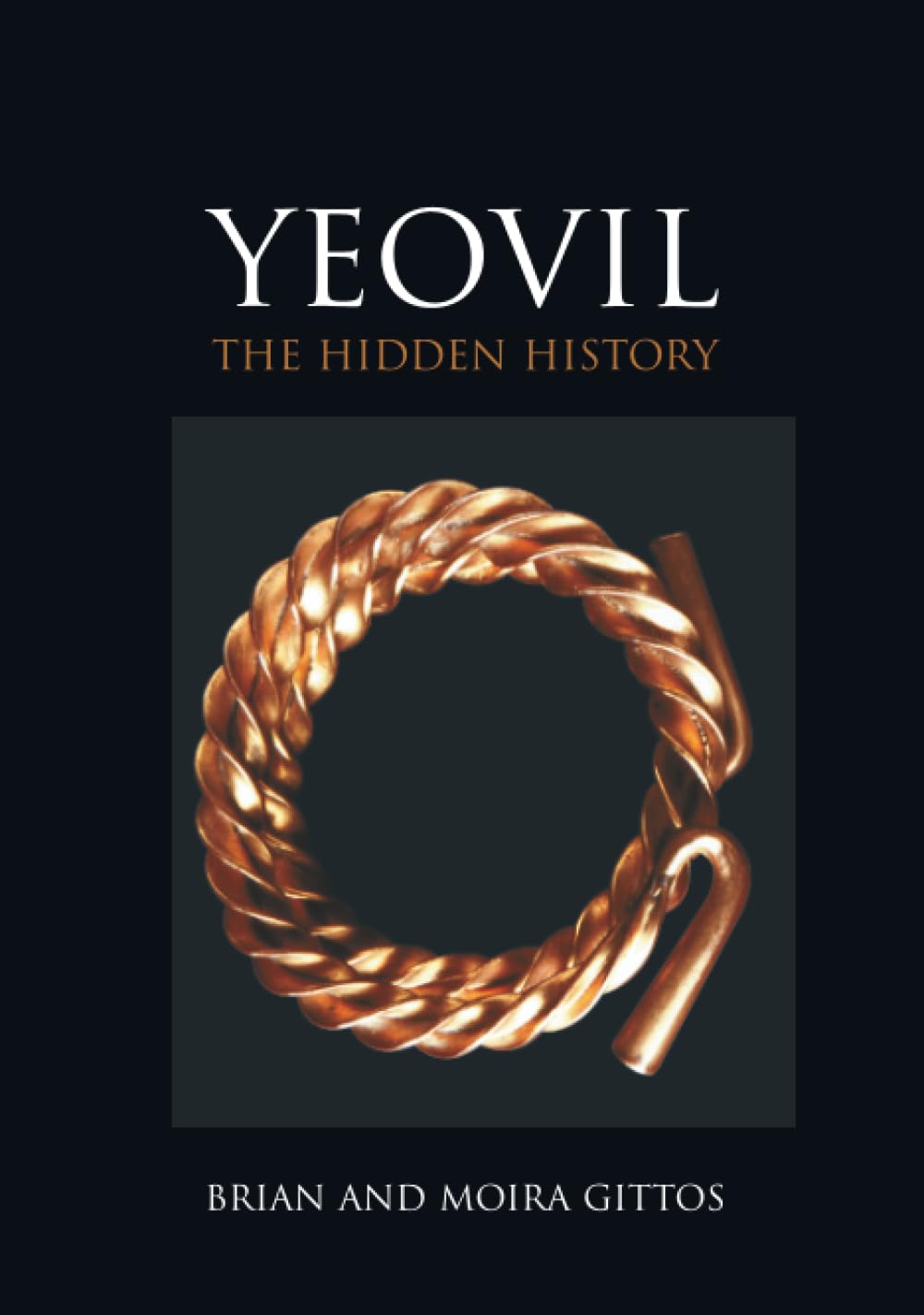 Yeovil History Book - Archaeological & Local History Society New Softcover