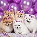 20 PCS Cute Dog Hair Bows with Rubber Bands Elastic Handmade Mix Style Lace Rhinestone Pearls for Furry Puppy Cat Pet Girl, Dark Purple
