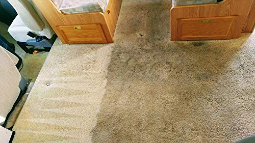 Shabby Chick Natural Products Carpet Cleaner Professional Grade Concentrated Liquid Carpet Cleaner 16 oz