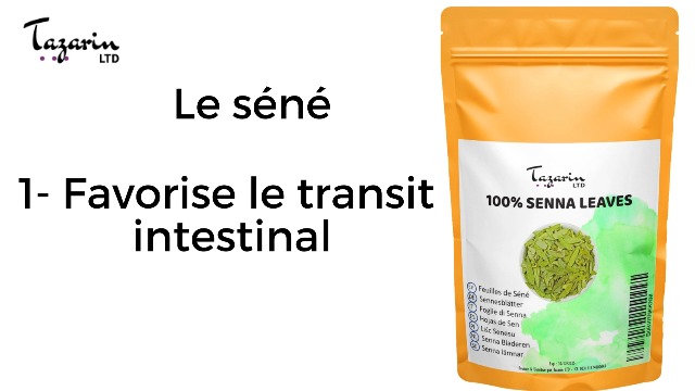 Laxatif Naturel Séné + Anis Vert - 320 Mg - 60 Gélules - Anastore - Gluten Free