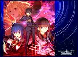 Amazon | TCG万能プレイマット MELTY BLOOD： TYPE LUMINA「集合