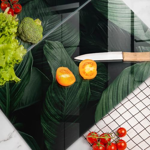 Protection plaque induction contre les rayures avec feuilles sombres