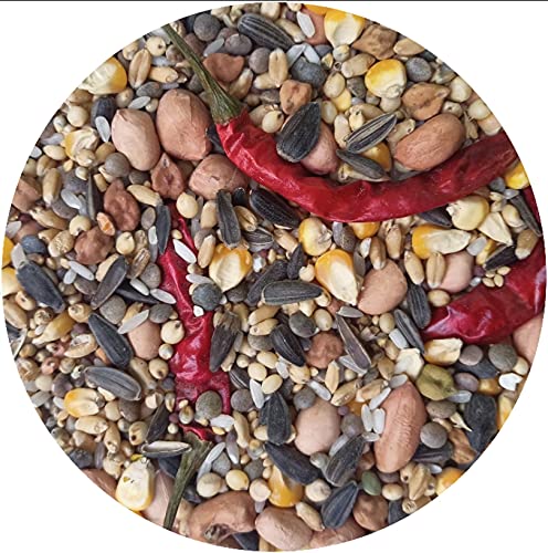 Parrot Food for Indian Parrot and Large Bird 100% Natural Feed, sutaible for All Types of African Grey, Macaw, Hyacinth or Cockatoo and it Have All Types of nutritions That Wants