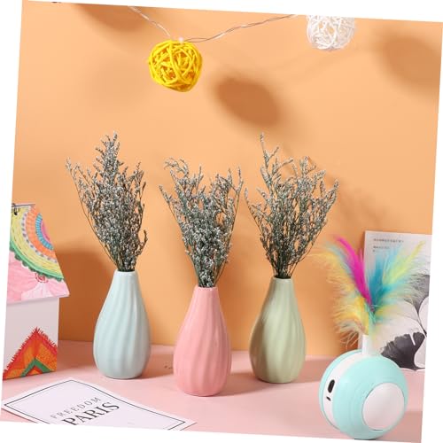 Ramo de flores secas Babysbreath para decoración miniatura 3