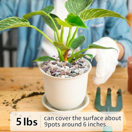Image of YISZM 5LB Succulent and Cactus Gravel Pebbles, 1 /5 Inch Natural Decorative Polished Stones, River Rocks for Vases Gardening Indoor and Outdoor Decorative Rocks, Colorful